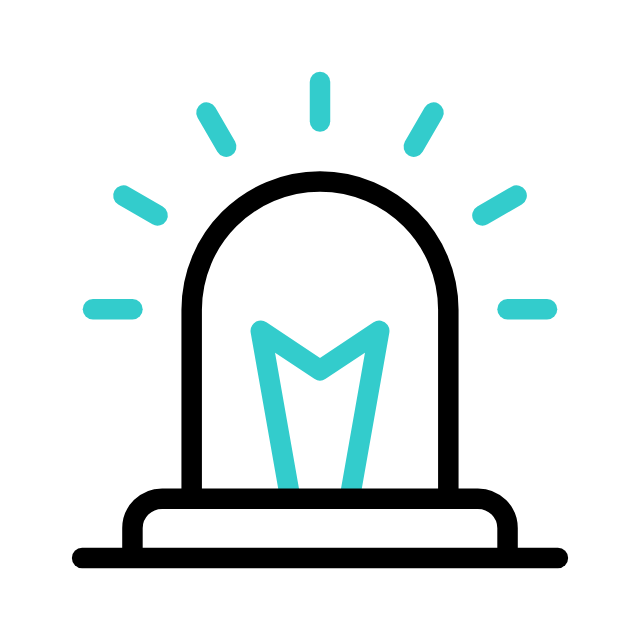 Feature icon