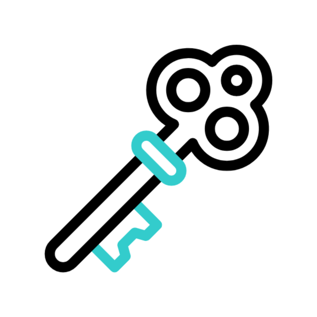 Feature icon